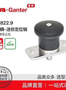 Elesa Ganter伊莉莎冈特 GN 822.9 不锈钢-迷你定位销