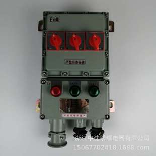 BXM51BXM53BXMD58 2K防爆照明配电箱1进2出铝合金防爆开关电箱IIB