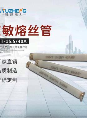 油浸式变压器短路保护PRNT-15.5/0.5A~40A高压限流后备熔断器