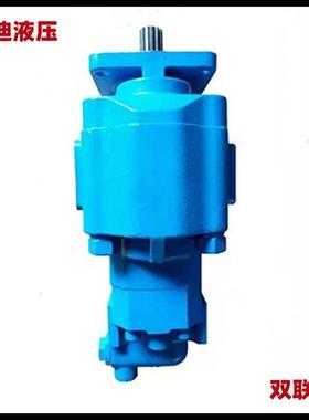 JHP3100/02010-XF双联齿轮泵 临工968V 装载机转向泵 4120002519