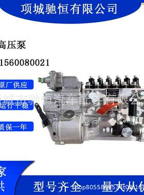 高压油泵总成VG1560080021/1560080022燃油喷射泵总成
