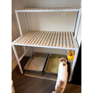 阳台铁艺猫爬架室内实木简易花架猫窝上方大空间猫砂盆收纳置物架