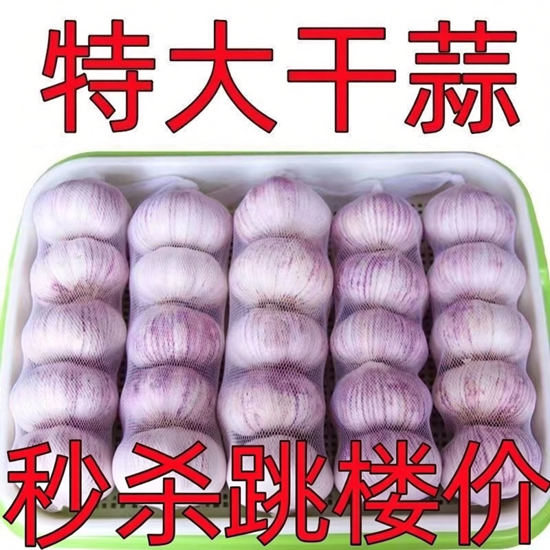干大蒜头自种河南杞县2026年大蒜干蒜红皮紫皮白皮蒜头可腌腊八蒜