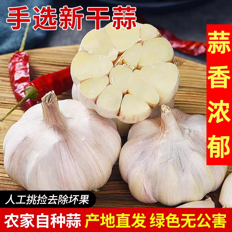 河南杞县大蒜头紫白皮农家干蒜头