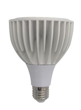 新品热销LEDPAR30白色大功率40W商业照明服装店轨道射灯电源灌胶