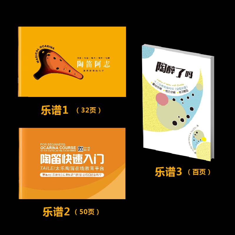 阿志12孔陶笛复古熏烧十二孔调演奏级陶笛初学入门阿志推荐