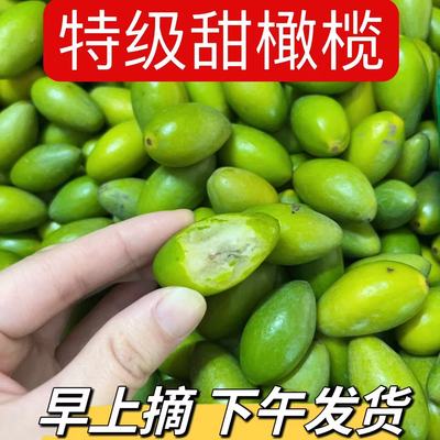 潮汕特产青枣脆橄榄冰糖甜种橄榄新鲜现摘橄榄果生吃煲汤青橄榄