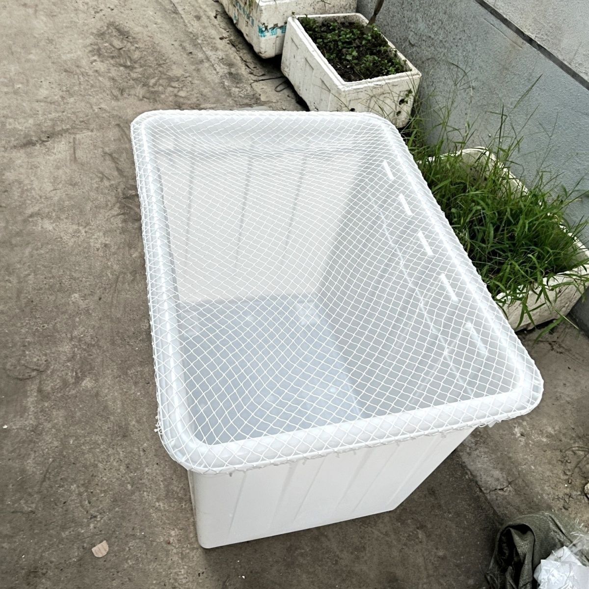 鱼池塑料箱网罩鱼缸圆形防跳网箱防逃网乌龟网防猫防鱼抓网落叶