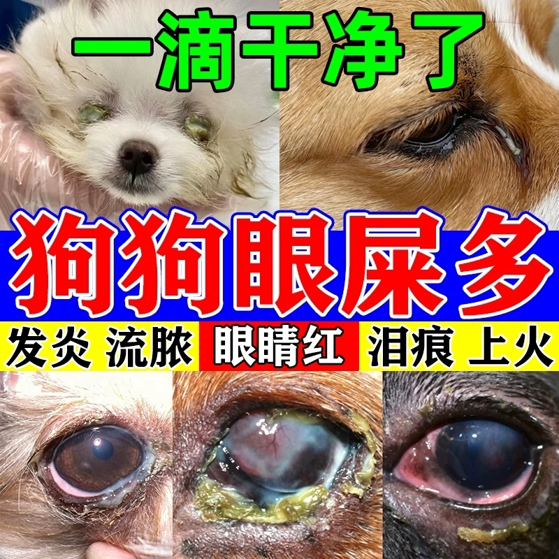 布偶妈妈狗狗去眼屎消炎滴眼液图片