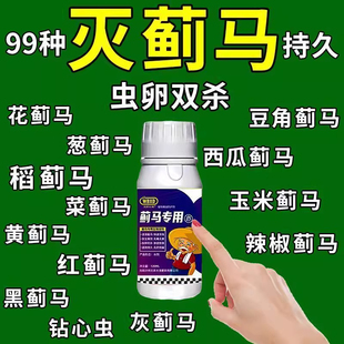 专杀蓟马药抗性蓟马专用药杀虫杀卵豆角茄子草莓生物杀虫生物速溶