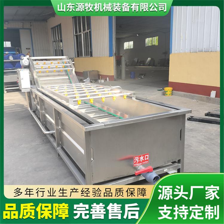 全自动果蔬气泡清洗机冲浪式清洗设备小龙虾清洗机器