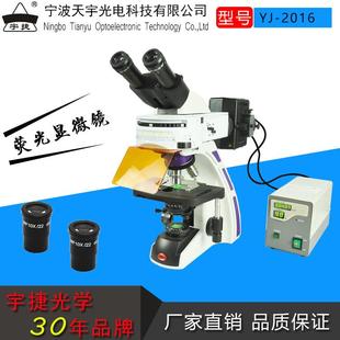 荧光显微镜科研透反射荧光显微镜临床研究级荧光落射荧光观察
