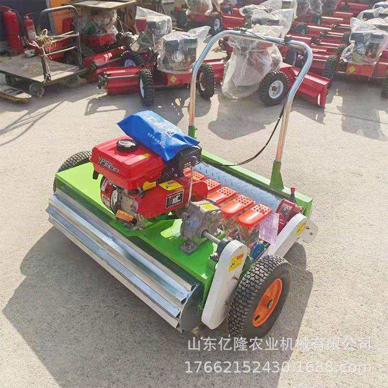 韩式防风桔梗种植机汽油手推蔬菜播种机大头菜叶菜类点播机,收纳整理,烫衣板及配件,淘宝优惠券,粉丝福利购,淘宝优惠卷