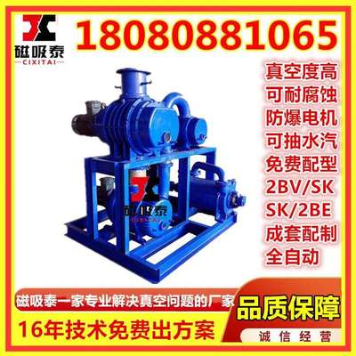 JZJ2B30-2.1.1真空机组tZJP30-15-15罗茨增压泵2BV2061水环真空泵