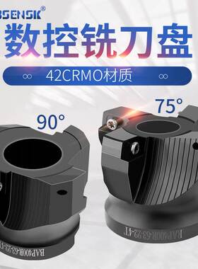 数控铣刀盘RAP75度90度BAP300R400R非标盘铣刀AP1604刀片开粗盘刀