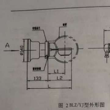 油流继电器YJ2-150/135Y油流方向控制器左右BLZ4-100-45变压器流