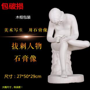 拔刺石膏像素描写生静物模型雕像美术用品石膏头像胸像人物全身像