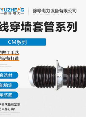 高压母线穿墙套管CMW-24-180CMW-20-180CMW-24-330CMWW-24-180