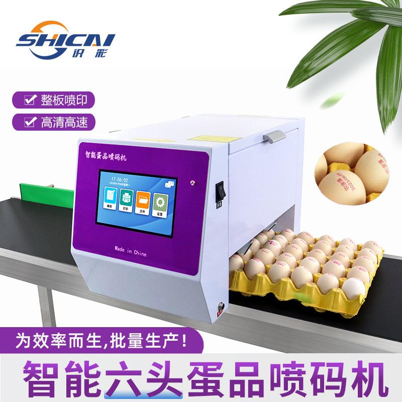 六头鸡蛋喷码机全自动高速整盘喷印生产日期序列号鸡蛋鸭蛋打码机