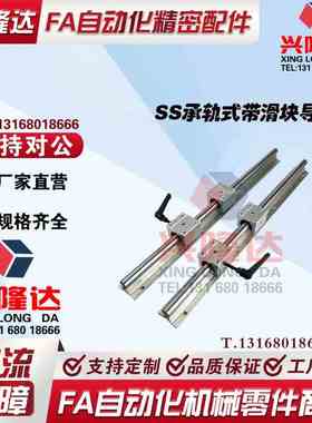 SS承轨式直线轴承带滑块导轨SSLMS-16/20/25/30/35-340-640-850-2