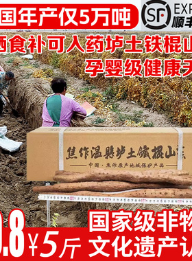 垆小山官方正宗非物质文化遗产怀山药 河南焦作温县垆土铁棍山药