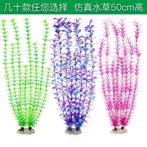 鱼之家鱼缸造景仿真水草装饰水箱摆件长款后景假水草50cm高CL系列