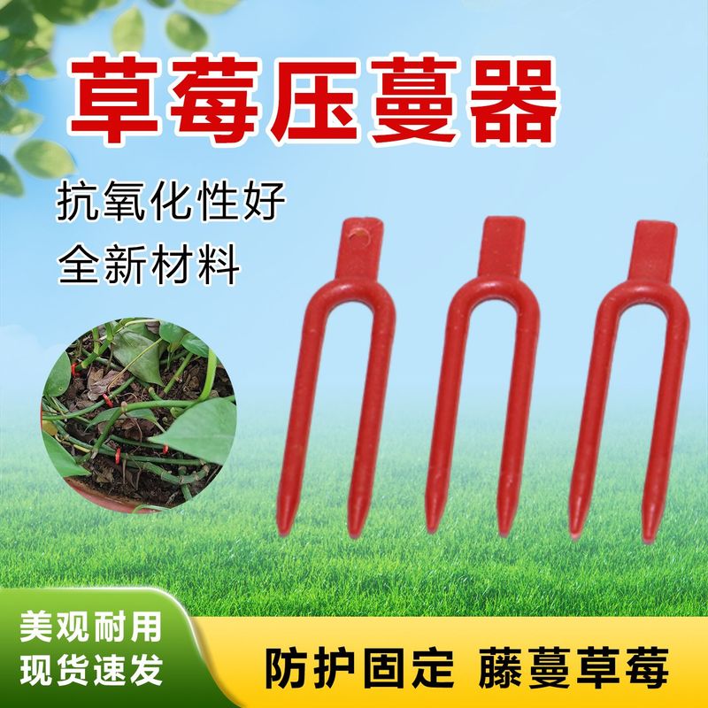 大棚草莓塑料压蔓器藤蔓固定叉子西瓜压苗叉育苗叉藤蔓固定器