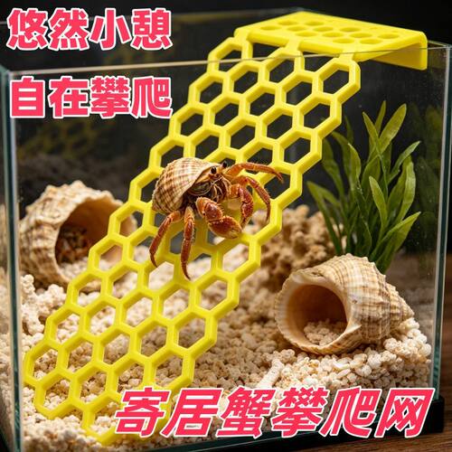 塑料网格寄居蟹攀爬板鱼缸隔板昆虫漂浮蜂梯螃蟹造景攀爬架