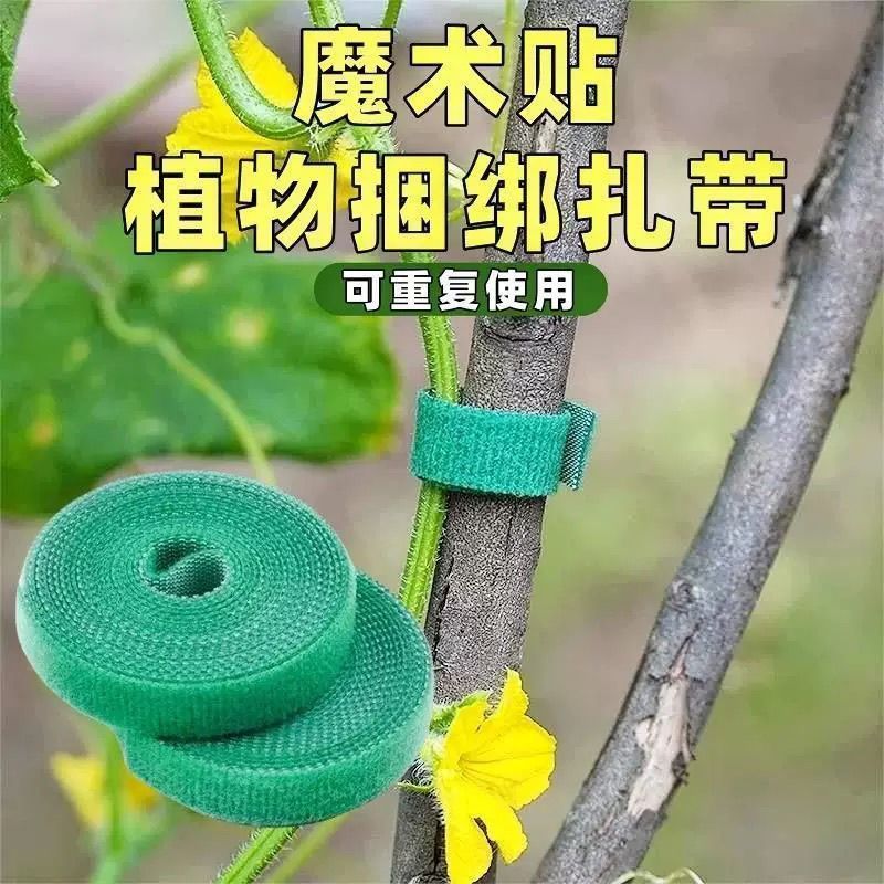 绿植扶正支撑不伤植株绿色魔术贴绑带树木植物捆绑塑形扎带卷