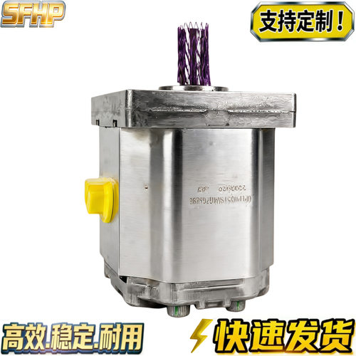 BONDIOLI齿轮泵HPLPA341 SW4G7G6B00 HPLPA351 HPLPA373 HPLPA220