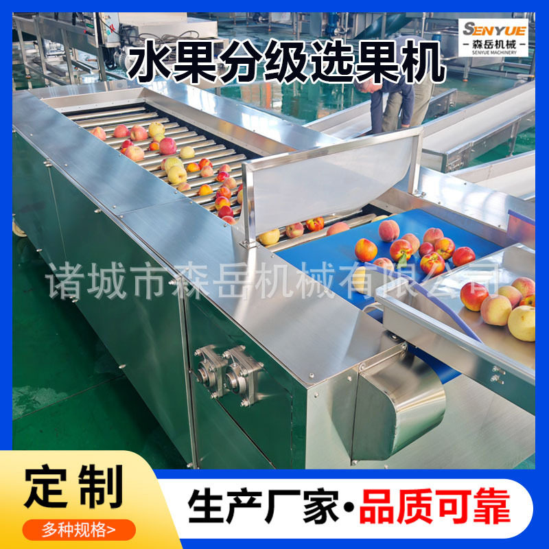 砂糖橘带叶果分级机李子青梅选果机水果大小筛选果机器柠檬分选机