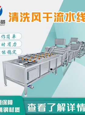 清洗风干设备 质量保障蔬菜水果清洗用设备 气泡清洗机
