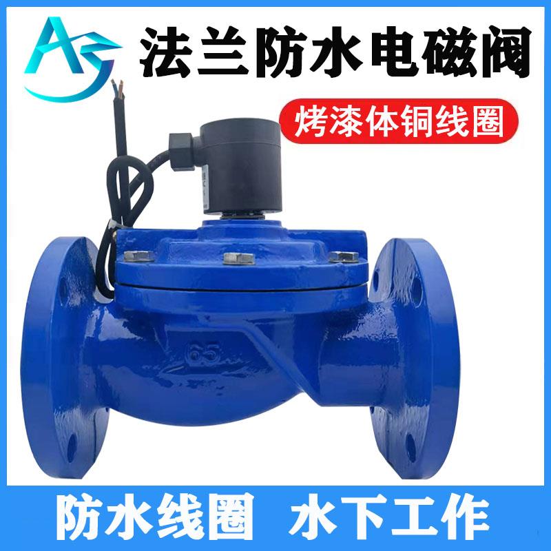 DF铸铁法兰水用电磁阀220V水下喷泉开关阀DN50 65 80 100 125 150