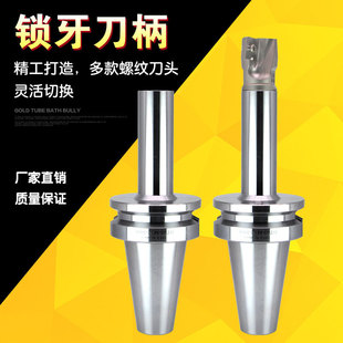 螺纹头刀柄BT30BT40锁牙刀盘8M10M12M16可换式 抗震锁牙铣刀盘刀柄