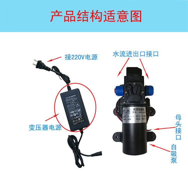 微型水泵家用农用直流自吸泵直流抽水机12V24V48V电动车抽水泵