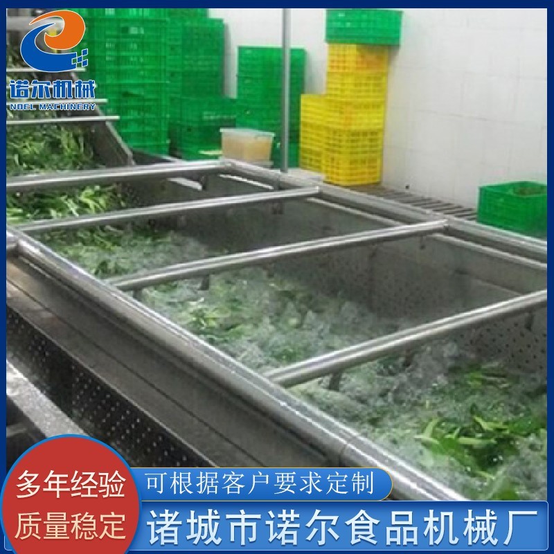 果蔬臭氧洗菜机 气泡式果蔬清洗流水线机 白菜喷淋式清洗机设备