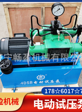 打压管道测试电动试压泵2.5-100MPa4DSB/4DSY压力自控电动试压泵