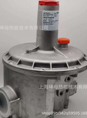 PietroFiorentini菲奥调压阀FMF301650007AB