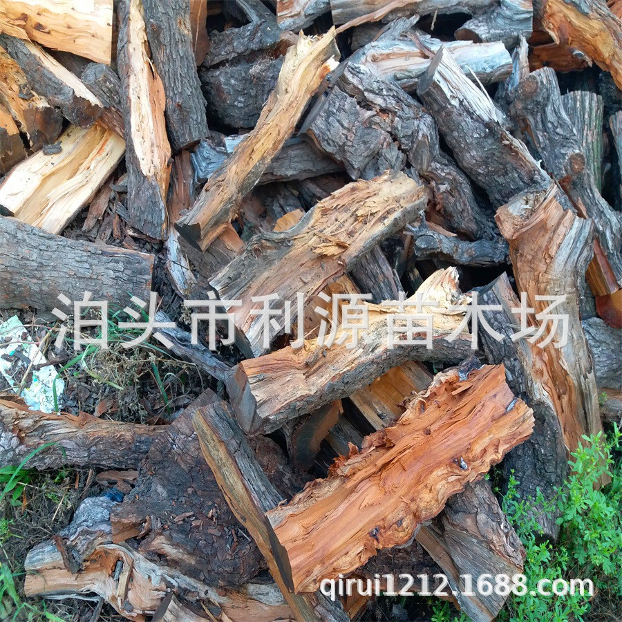 常年供应枣木 枣木劈柴 枣木柴火 烤鸭枣木劈柴 木质硬 货源稳定