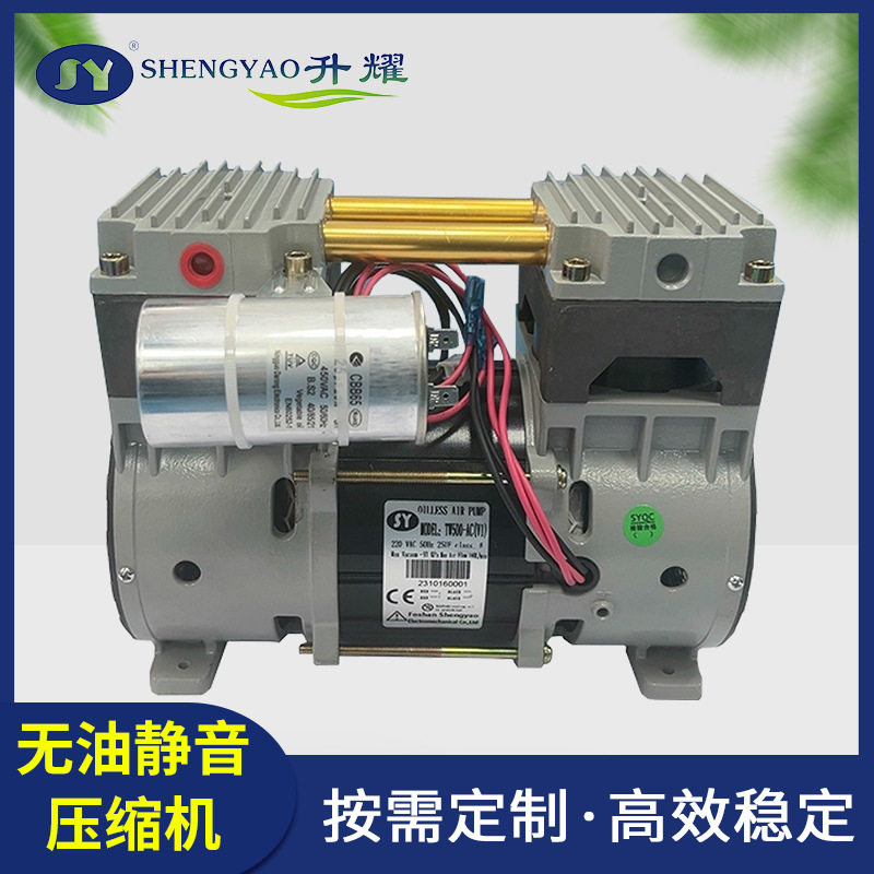 厂家直销无油压缩机活塞气泵24V48V直流点解空压机机头设备压缩机