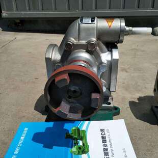 泊玉河kcb200 大流量不锈钢 齿轮油泵  不锈钢泵 厂家供应