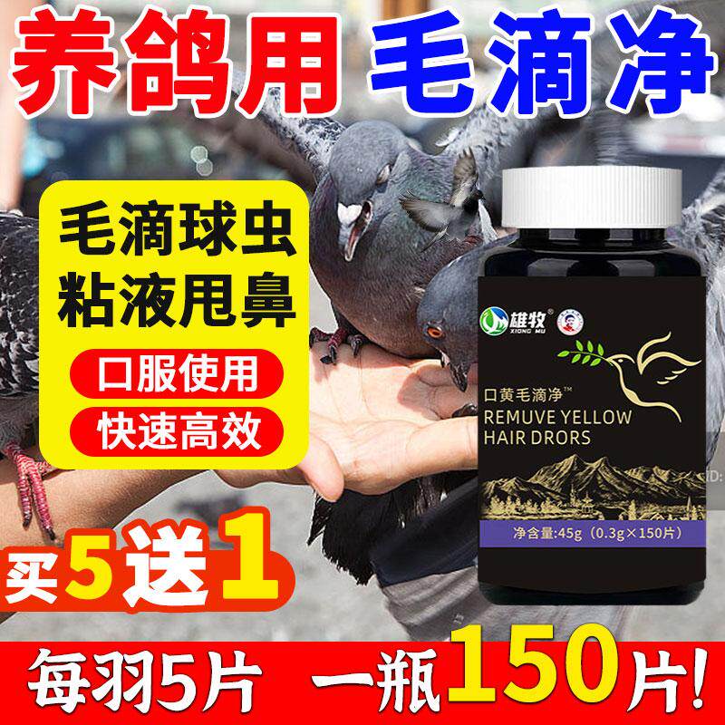雄牧口黄毛滴净正品毛滴虫球虫二合一念珠菌呼吸道鸽子专用药大全
