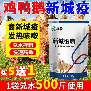 雄牧正品新城疫役康特效家禽鸡鸭鹅鸽子专用拉稀感冒歪脖甩拉吐药