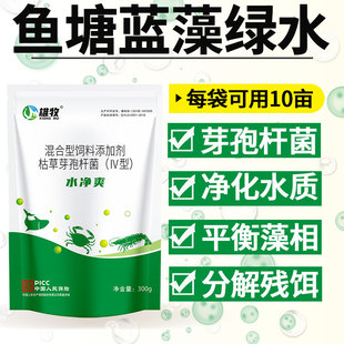 水净爽芽孢杆菌鱼池塘生物净化污水质泥水沉淀剂变清水产养殖专用