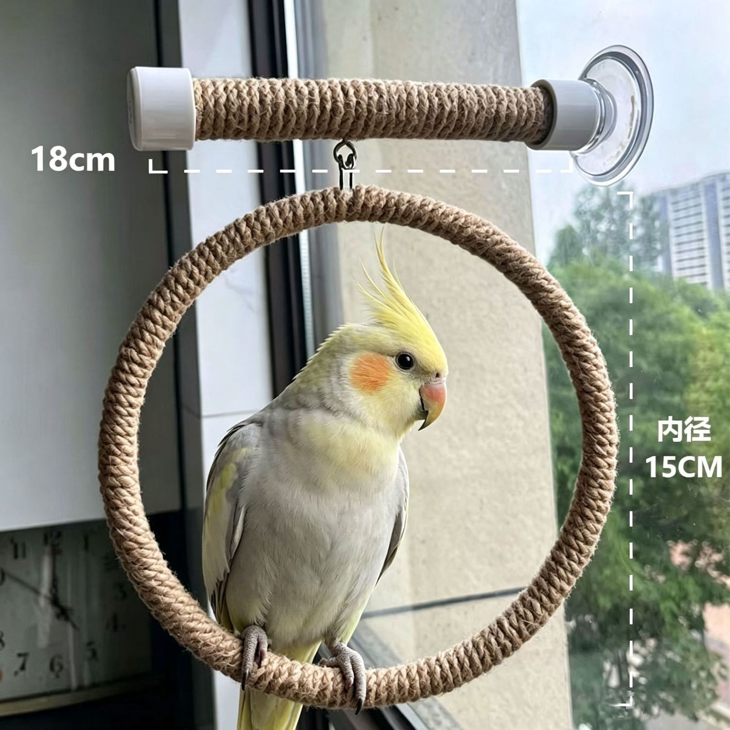 吸盘式鹦鹉站杆麻绳秋千玄凤虎皮多用途棍子小鸟笼玻璃墙面用品