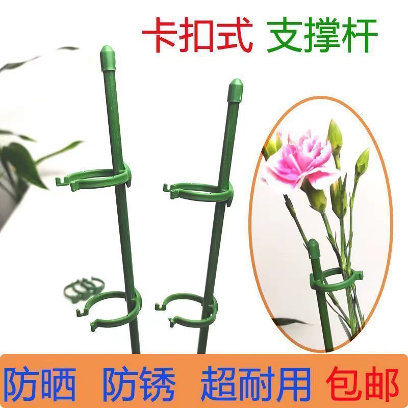 盆栽防倒支撑杆蝴蝶兰花架朱顶红固定支架多肉园艺花卉支撑立柱