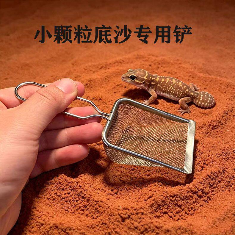 爬虫专用不锈钢漏沙铲豹纹守宫肥尾鬃狮蜥蜴钙沙清洁铲