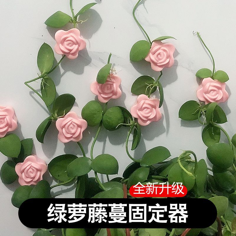 室内吊兰绿萝爬墙固定卡子新款植物攀爬墙上固定神器