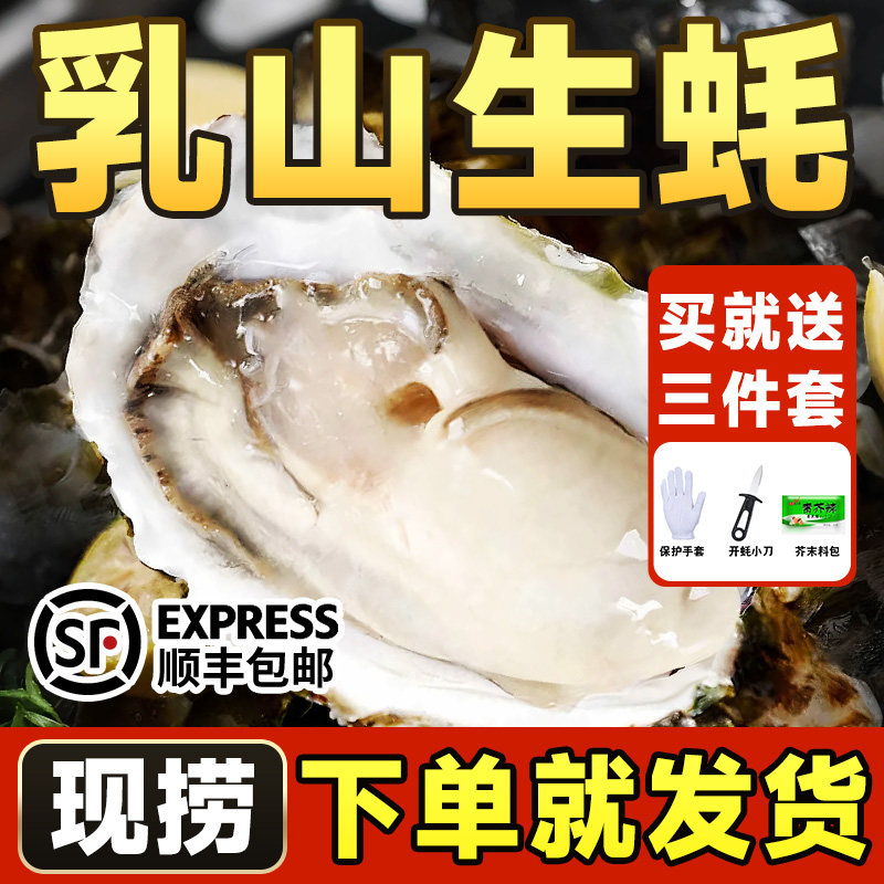 乳山生蚝鲜活特大牡蛎带壳生吃海蛎子新鲜海鲜水产带箱10斤顺丰