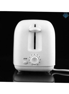 Englaish toaster Bread toaster machine 2 slice stainless 110